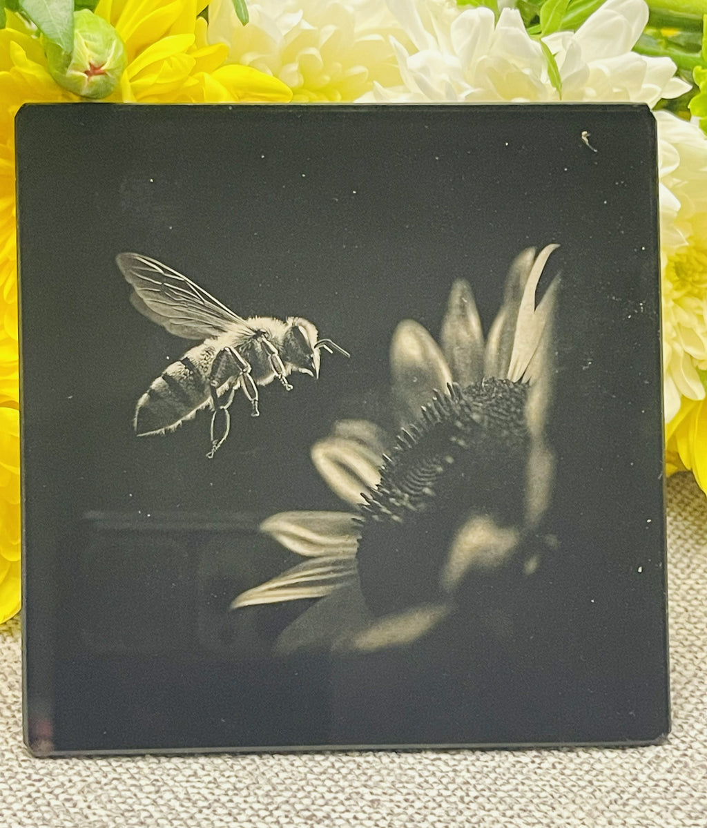 Engraved Bees on Black Glass Coasters Set 3 of 5